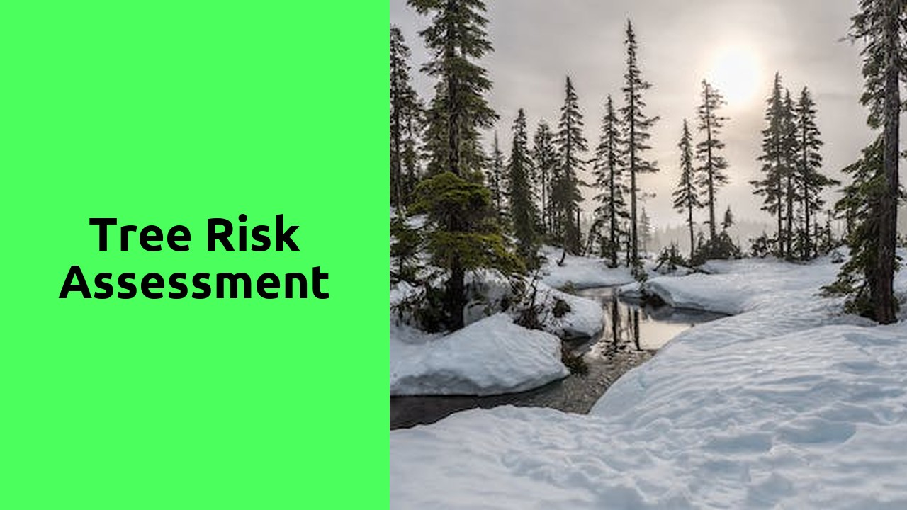 Tree Risk Assessment