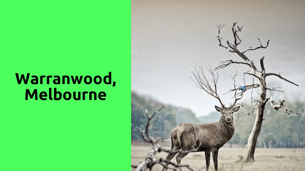 warranwood, melbourne